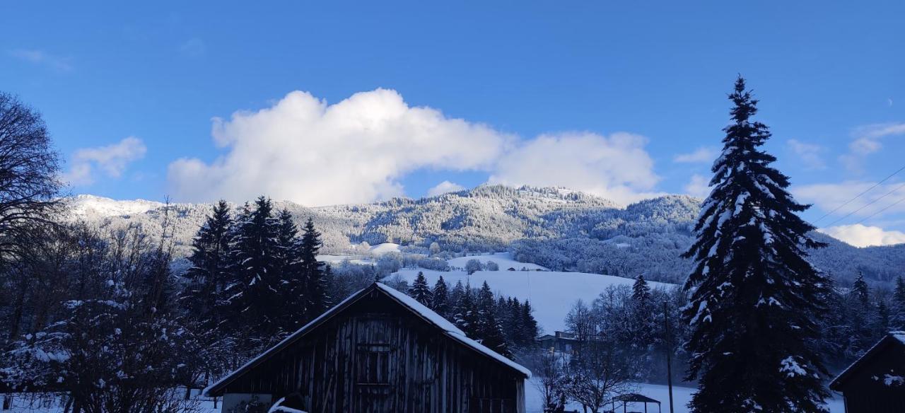 Gîte Vallée Verte Burdignin Extérieur photo